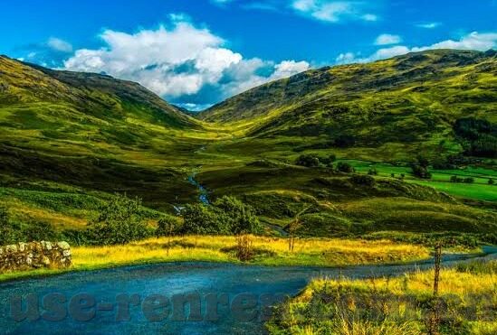 能群里玩炸金花软件-在能群里玩炸金花软件的乐趣与策略